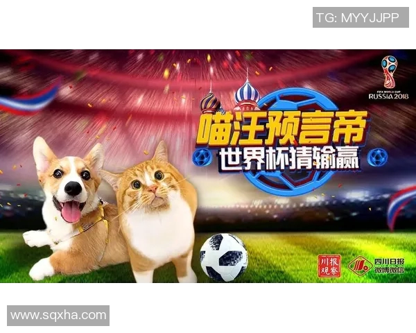 足球世界杯决赛日票务及观赛指南