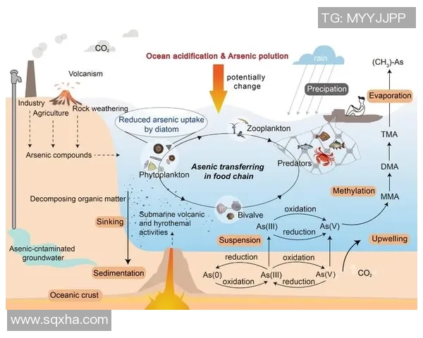 冰球联赛恶意犯规趋势演变及相应处罚机制的历史变迁分析